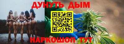 сатива Кингисепп