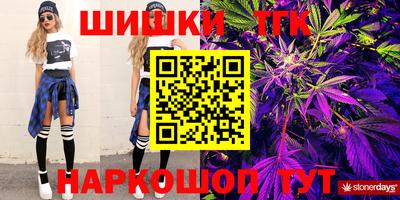сатива Кингисепп