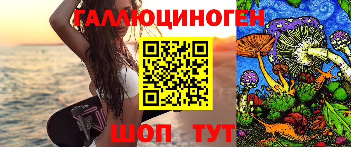 Псилоцибиновые грибы Psilocybe Костомукша